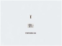 藏品(雙翅目)的圖片